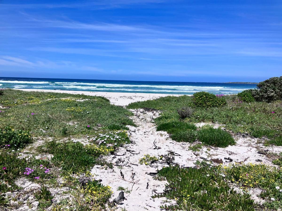 Silverdunes - Seaview Bettyʼs Bay Exteriör bild